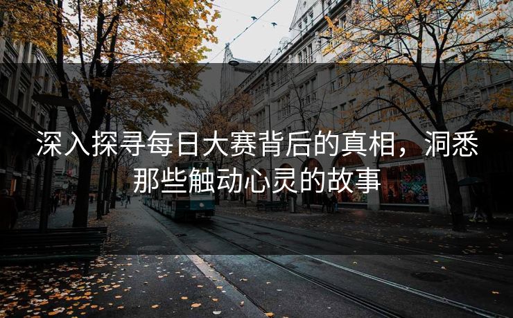 深入探寻每日大赛背后的真相，洞悉那些触动心灵的故事